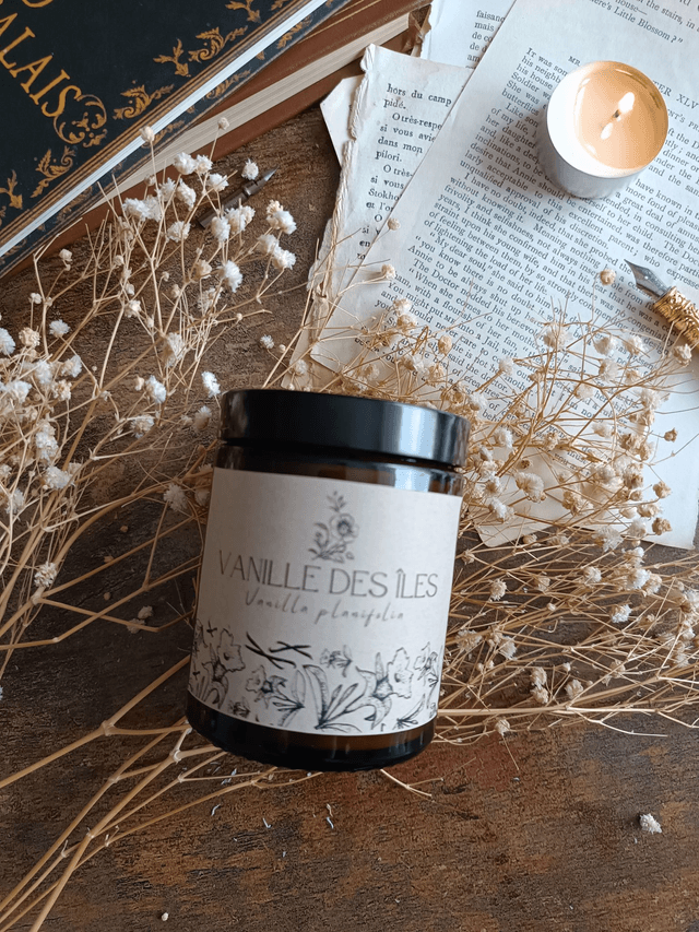 Vanille des îles - Bougie parfumée (verre)