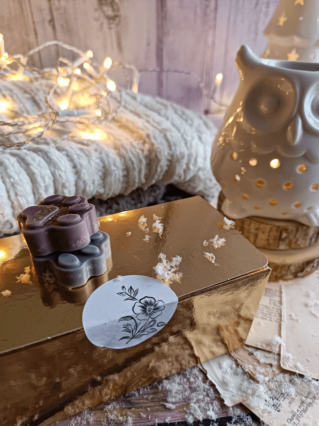 Coffret de fondants parfumés pattes de chat