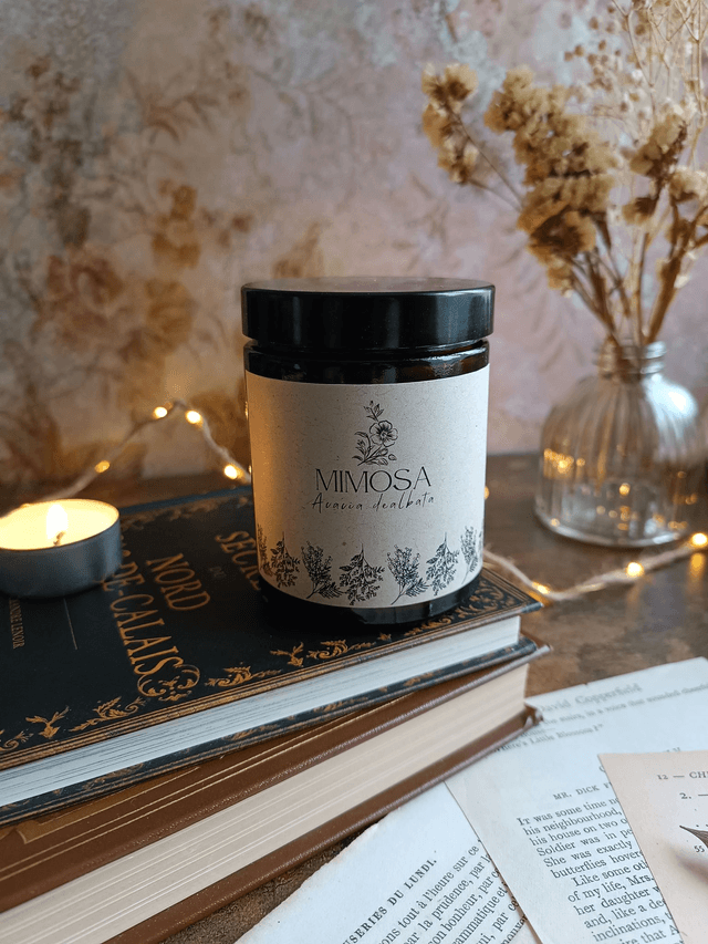 Mimosa - Bougie parfumée (verre) 