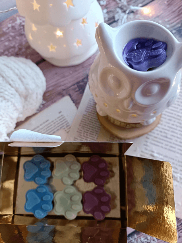 Brûle-parfum pour fondants parfumés Hibou
