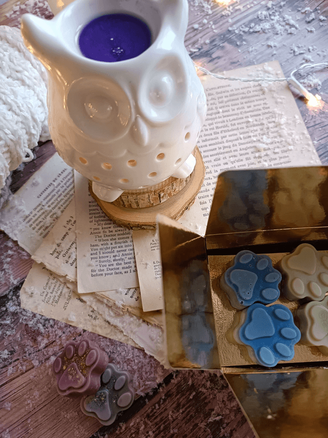Coffret de fondants parfumés pattes de chat
