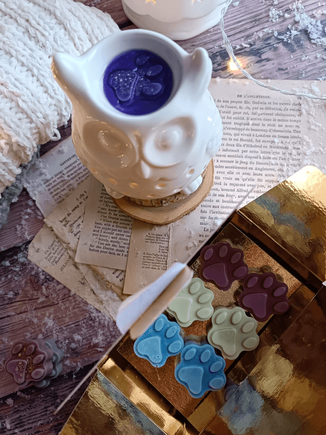 Coffret de fondants parfumés pattes de chat