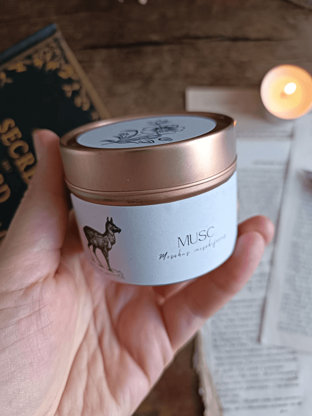 Musc - Bougie parfumée (métal)